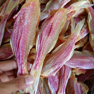 源头工厂直销足干校红鱼红手指淡干红蜡烛油小鱼干海鲜干货
