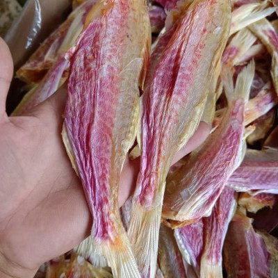 源头工厂直销足干校红鱼红手指淡干红蜡烛油小鱼干海鲜干货图2