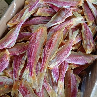 源头工厂直销足干校红鱼红手指淡干红蜡烛油小鱼干海鲜干货图4