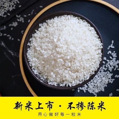 东北大米20斤袋装 奉粮稻香米2号10kg 当季新米软糯香甜一件代发图2