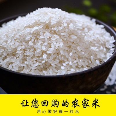 东北大米20斤袋装 奉粮稻香米2号10kg 当季新米软糯香甜一件代发图4