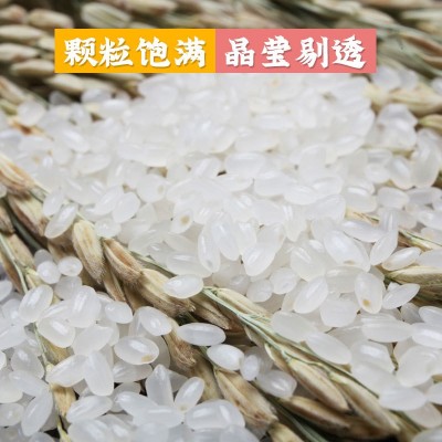 东北大米10kg珍珠香大米农家自产当季新大米编织袋图2