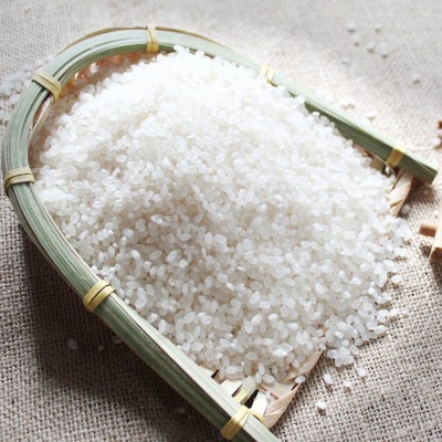 海安当季新米大米 口感软糯米质饱满软香大米 厂家供应图3