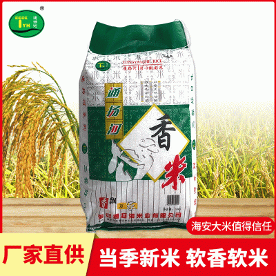 一级海安香米 口感软糯气味清香大米 厂家供应量大从优图2