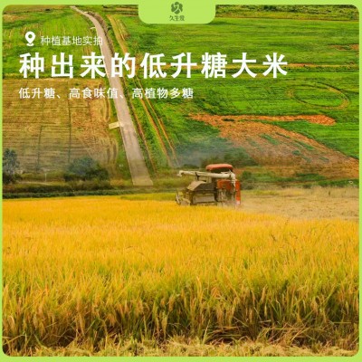 低GI控糖大米控糖食品东北米2.5kg一袋5斤礼盒装工厂整箱批发代发图3