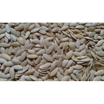 低温烘焙黄瓜子 熟黄瓜籽 现磨粉 五谷磨坊五谷杂粮养生原料批发图4