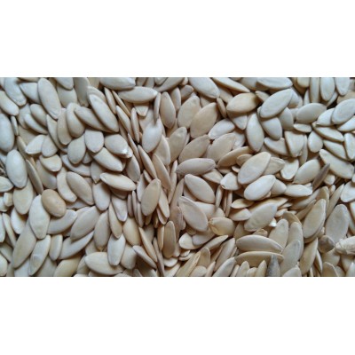 低温烘焙黄瓜子 熟黄瓜籽 现磨粉 五谷磨坊五谷杂粮养生原料批发图3