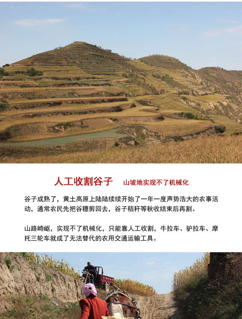 2020年新版详情页1_18.jpg