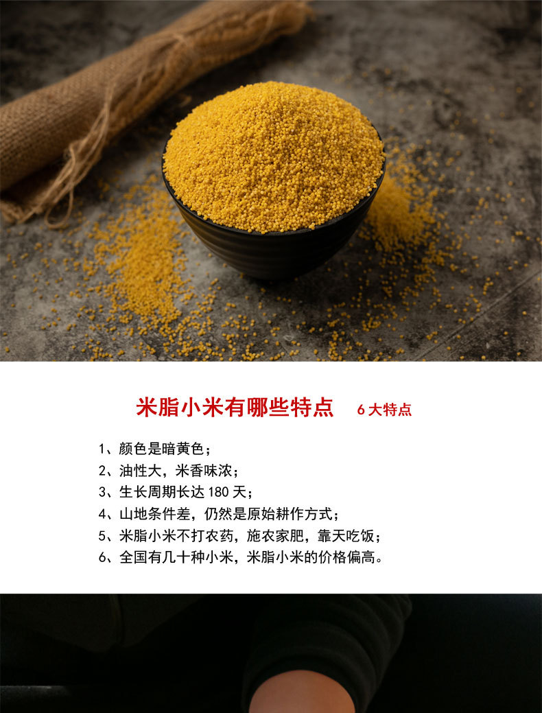 2020年新版详情页1_01.jpg
