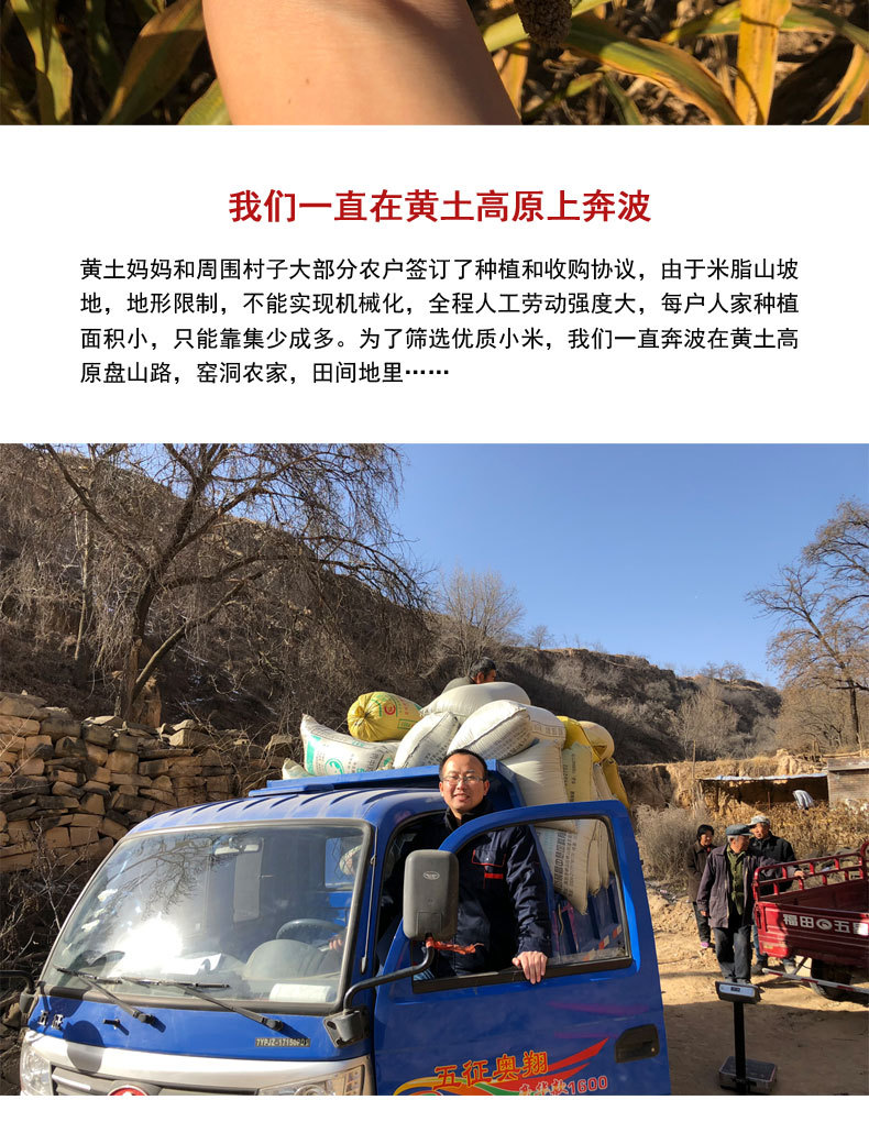 2020年新版详情页1_02.jpg