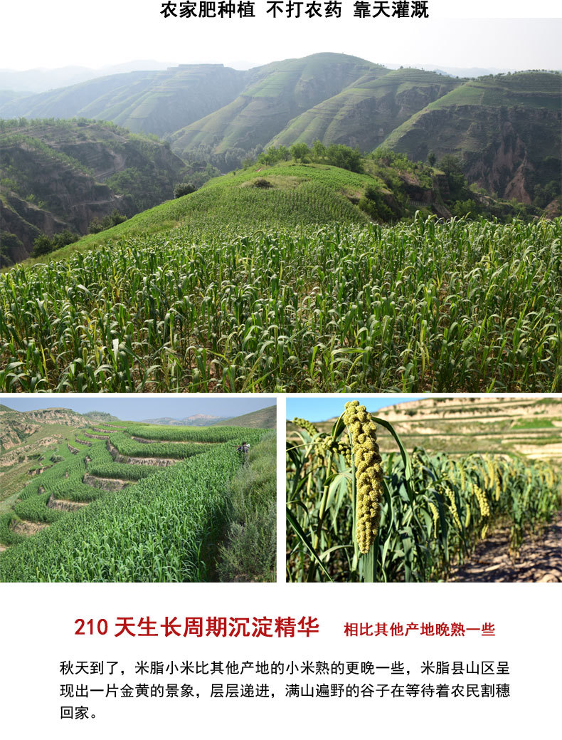 2020年新版详情页1_17.jpg