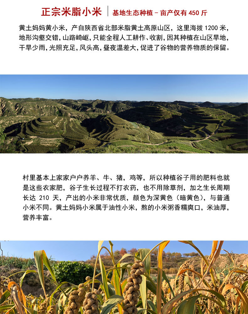 盒马详情页_08.jpg