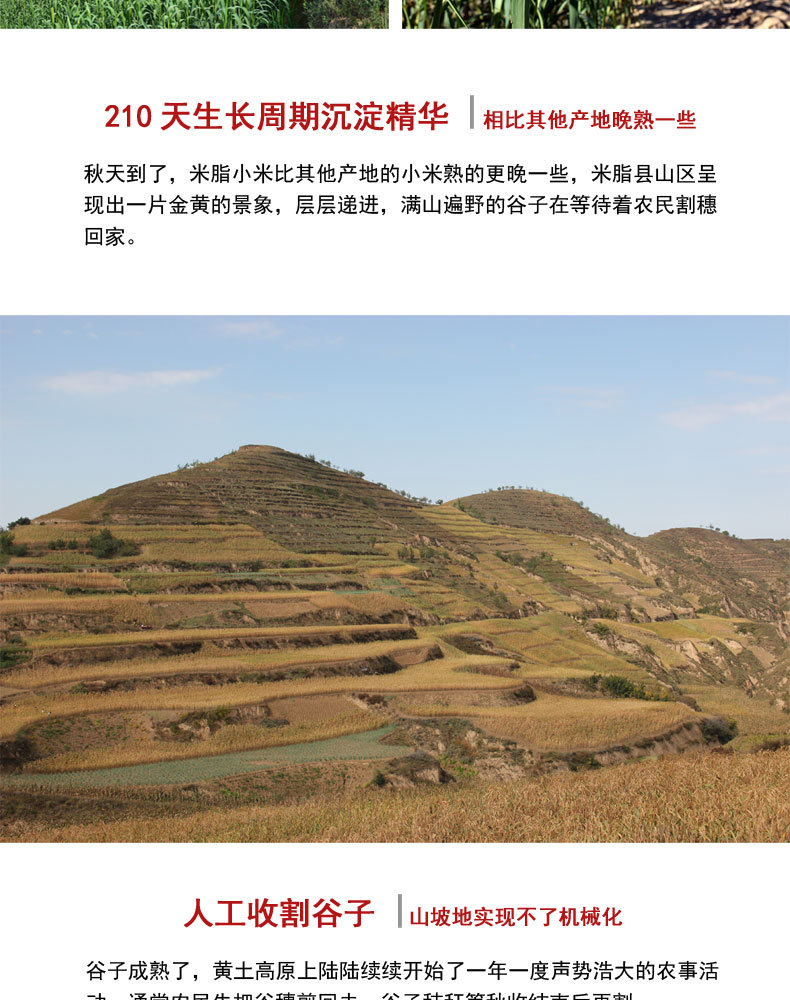 盒马详情页_13.jpg