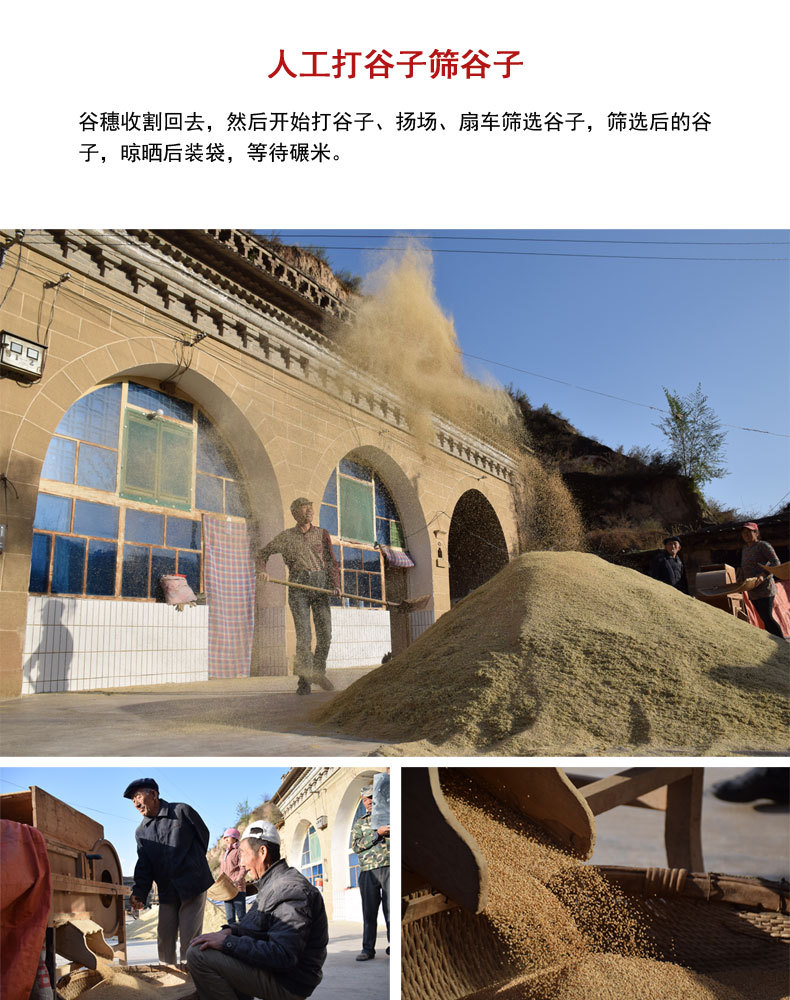 盒马详情页_05.jpg