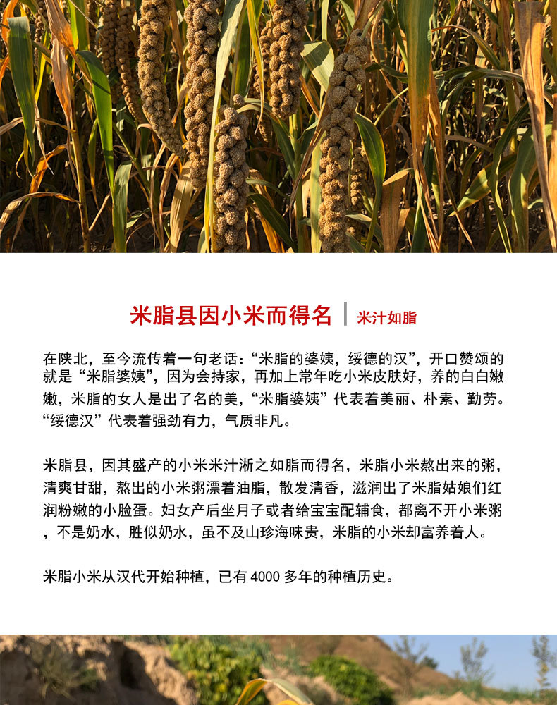 盒马详情页_09.jpg