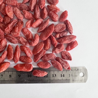 枸杞批发 枸杞干煲汤煮粥泡茶枸杞茶枸杞干泡水干枸杞子精选颗粒图3