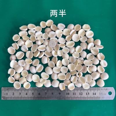 批发白莲子 去芯磨皮五谷杂粮原料莲子煲汤炖粥煮茶泡水甜品图3