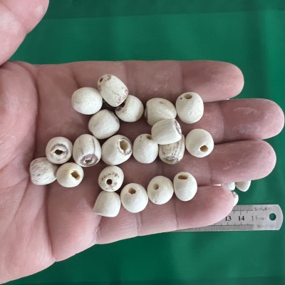 批发白莲子 去芯磨皮五谷杂粮原料莲子煲汤炖粥煮茶泡水甜品图4
