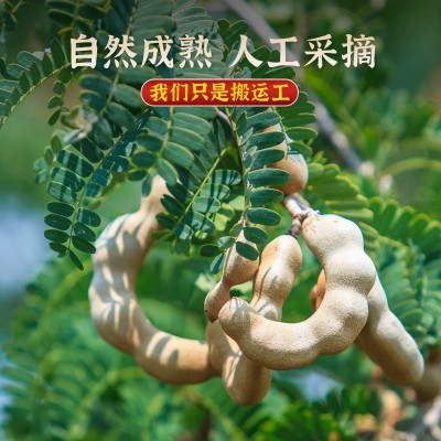 罐装甜酸角云南特产甜酸角甜角罗望子酸甜角酸角大果孕妇零食图3