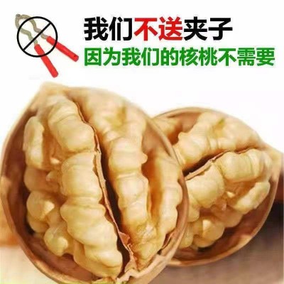 代发新疆纸皮核桃500g 手剥阿克苏生核桃一捏即开新货纸皮生核桃图4
