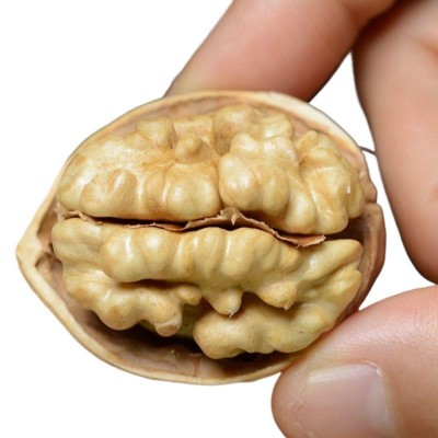 代发新疆纸皮核桃500g 手剥阿克苏生核桃一捏即开新货纸皮生核桃图3