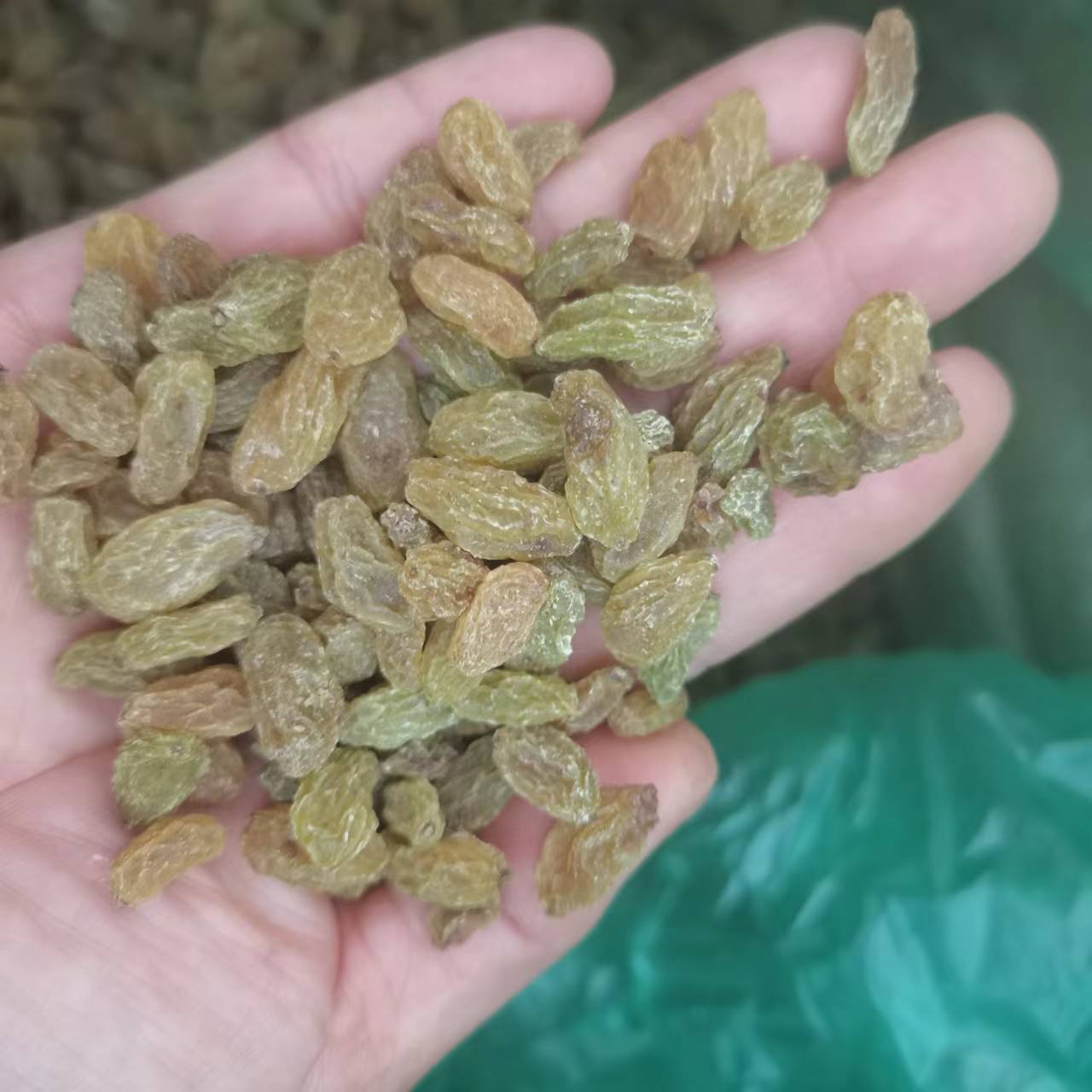 5葡萄干