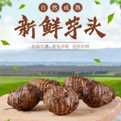 山东奶油芋头产地直发农家新鲜现挖芋艿 批发粉糯香甜牛奶小香芋