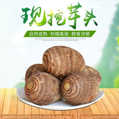 山东毛芋头 新鲜蔬菜当季现挖 牛奶芋艿粉糯沙地批发十斤整箱芋头