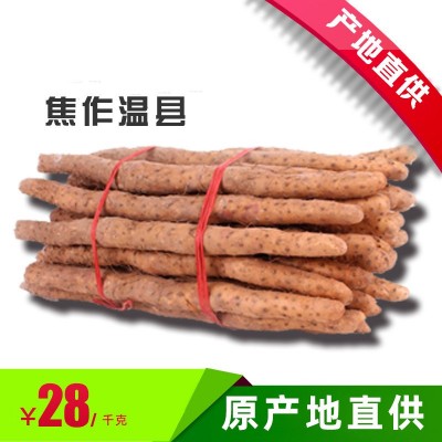 河南焦作温县垆土铁棍山药怀山药新鲜山药图5