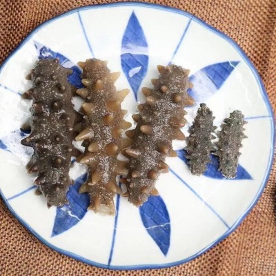 大连产地辽参国标海参纯淡干海参人参泡发电商礼盒源头批发滋补图3