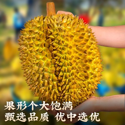 泰国金枕榴莲进口顺丰包邮新鲜水果一级整个箱应季10斤头巴掌肉大图5