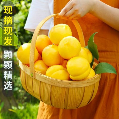 黄金桃5斤桃子新鲜水果当季现摘黄肉蜜桃脆甜桃时令大果顺丰包邮图2
