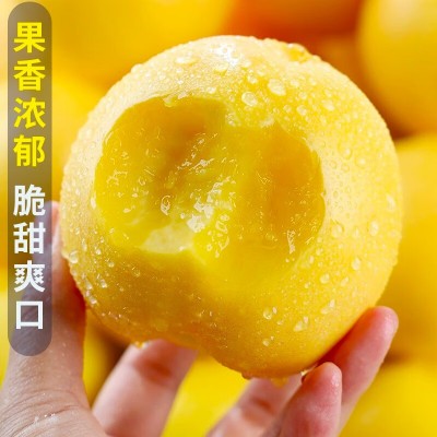 黄金桃5斤桃子新鲜水果当季现摘黄肉蜜桃脆甜桃时令大果顺丰包邮图3