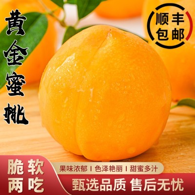 黄金桃5斤桃子新鲜水果当季现摘黄肉蜜桃脆甜桃时令大果顺丰包邮