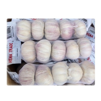 出口泰国大蒜网袋包装 普白大蒜5.0公分 10kg网袋图5