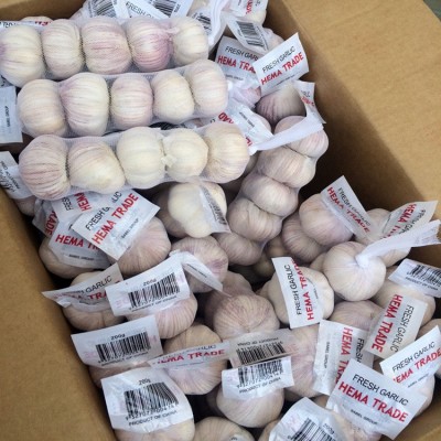 出口泰国大蒜网袋包装 普白大蒜5.0公分 10kg网袋图4