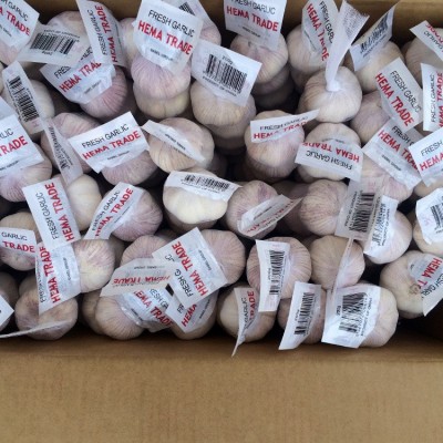 出口泰国大蒜网袋包装 普白大蒜5.0公分 10kg网袋图3