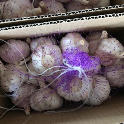 供应出口大蒜保鲜大蒜 28元/件 2kg/件 起订，批发优惠图2