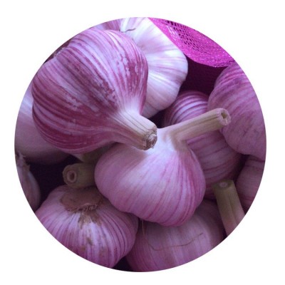 供应出口大蒜保鲜大蒜 28元/件 2kg/件 起订，批发优惠图5