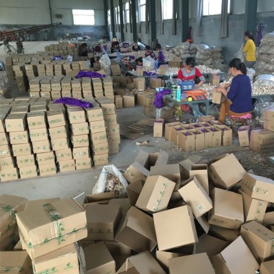 金乡紫皮大蒜 出口大蒜品质 辛辣大蒜 2kg/件 19元/件图4