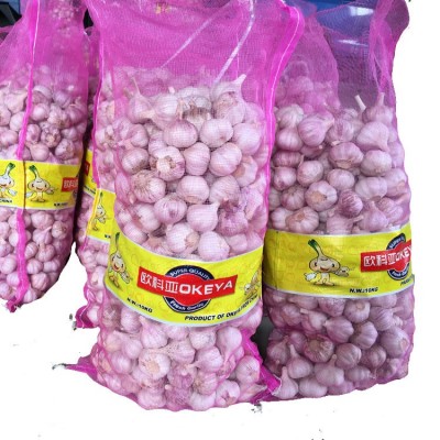 大蒜出口菲律宾 大蒜出口泰国 普白大蒜4.5公分 10kg网袋图5