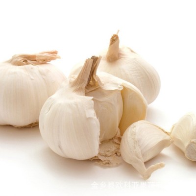 出口埃及土耳其利比亚大蒜小网袋200G纸箱10kg普白大蒜图4