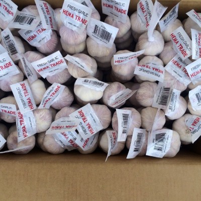出口埃及土耳其利比亚大蒜小网袋200G纸箱10kg普白大蒜图3