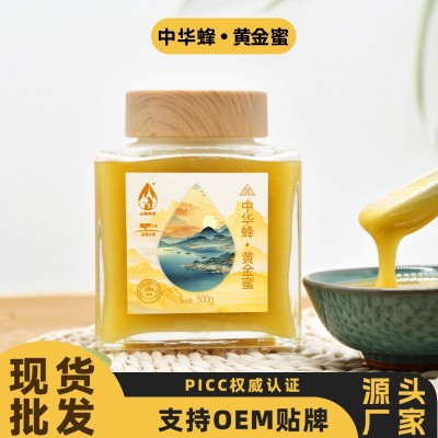 云南蜂蜜纯正天然黄金蜜批发蜂蜜500g源头厂家百花独特蜜一件代发
