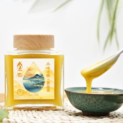 云南蜂蜜纯正天然黄金蜜批发蜂蜜500g源头厂家百花独特蜜一件代发图2