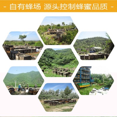 蜂蜜桶装百花蜜洋槐蜜散装枸杞枣花荆条土蜂蜜新疆黑蜜批发厂家图2