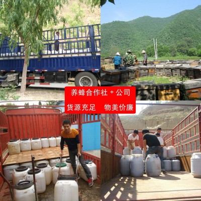 蜂蜜桶装百花蜜洋槐蜜散装枸杞枣花荆条土蜂蜜新疆黑蜜批发厂家图4