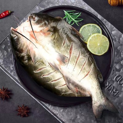 清江烤鱼非鮰鱼火锅纸上整条烤鱼装加热即食半成品菜商用批发外卖图3