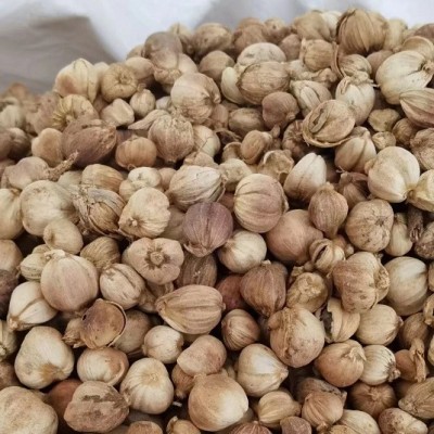 白蔻500g白扣小豆蔻原装干货香料调料卤料大全商用餐饮调味品批发图5