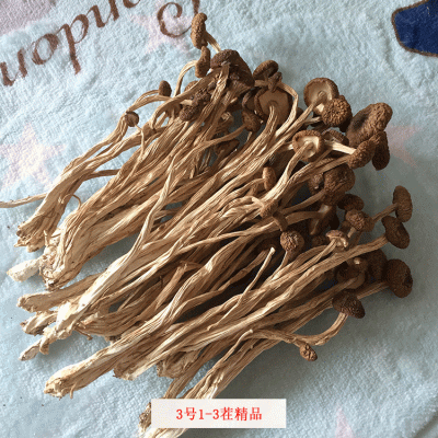 君志 江西广昌3号茶树菇干货批发食用菌 中粗不开伞精品 2023新货 君志 江西广昌3号茶树菇干货批发食用菌 中粗不开伞精品 2023新货